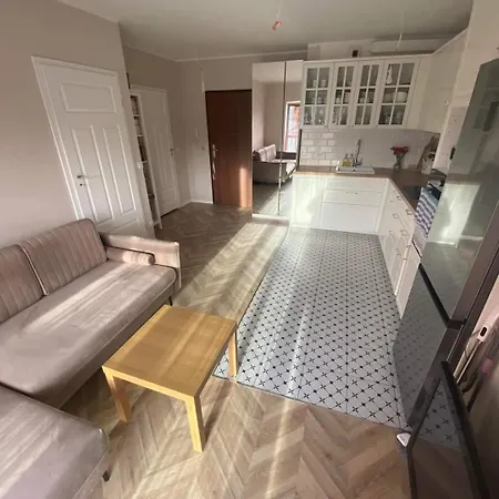 Studio Leszynka Xix Apartament *